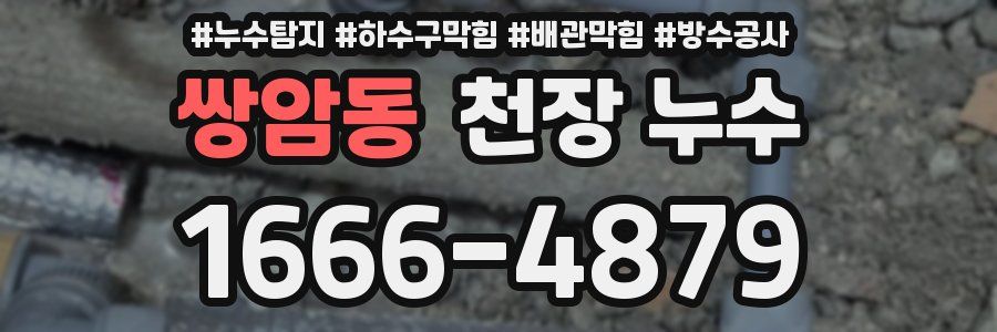 쌍암동 천장 누수