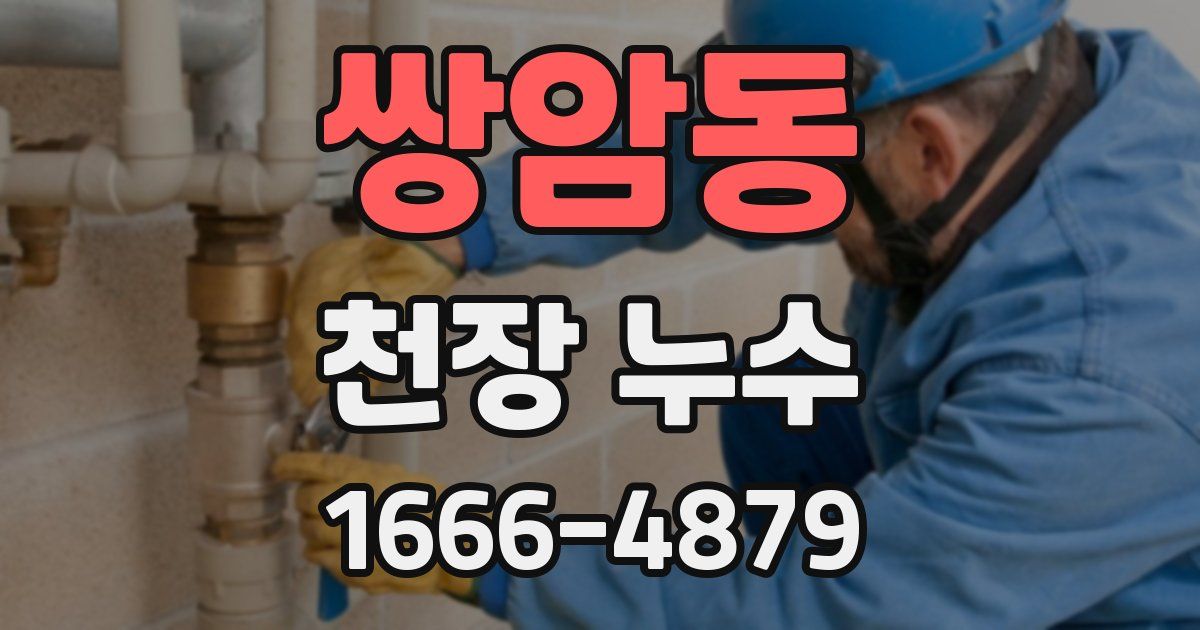 쌍암동 천장 누수