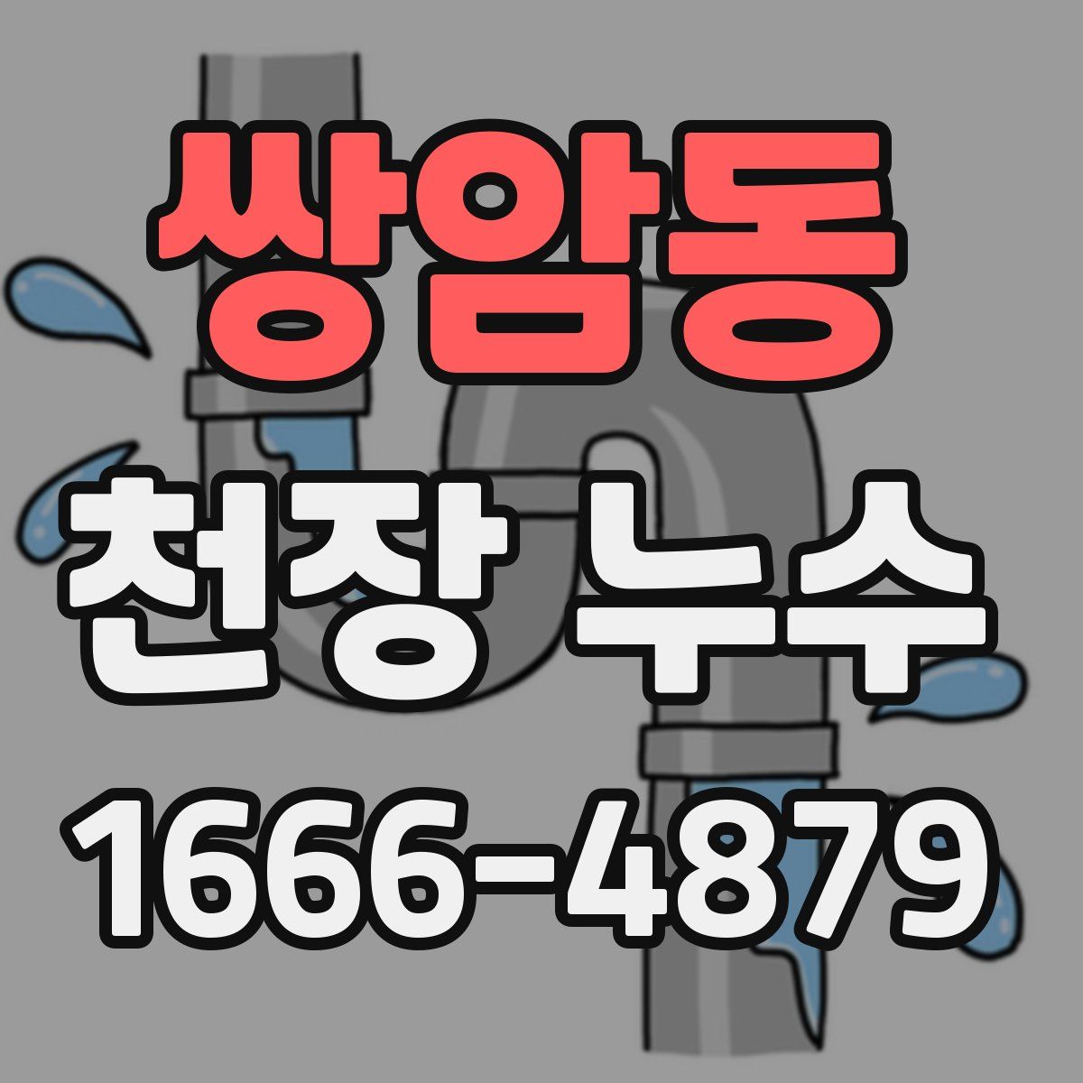 쌍암동 천장 누수