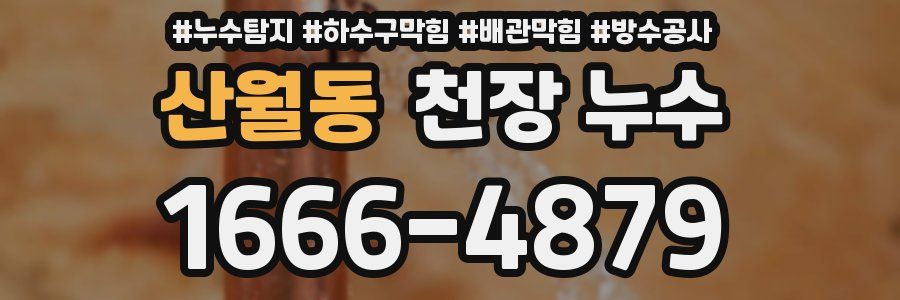 산월동 천장 누수