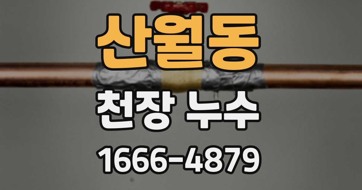 산월동 천장 누수