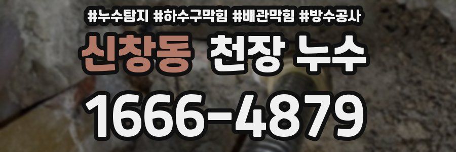 신창동 천장 누수