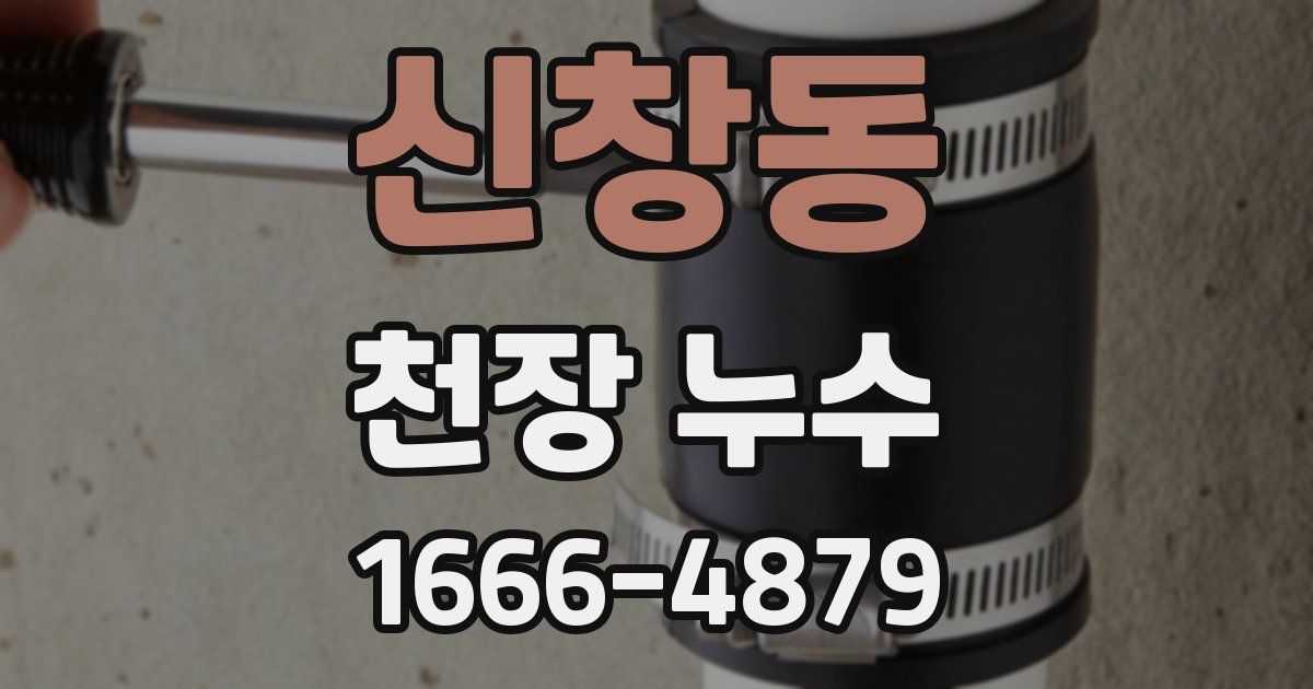신창동 천장 누수