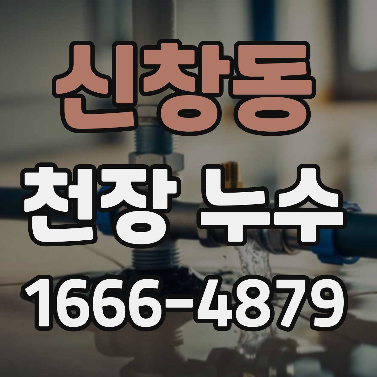 신창동 천장 누수
