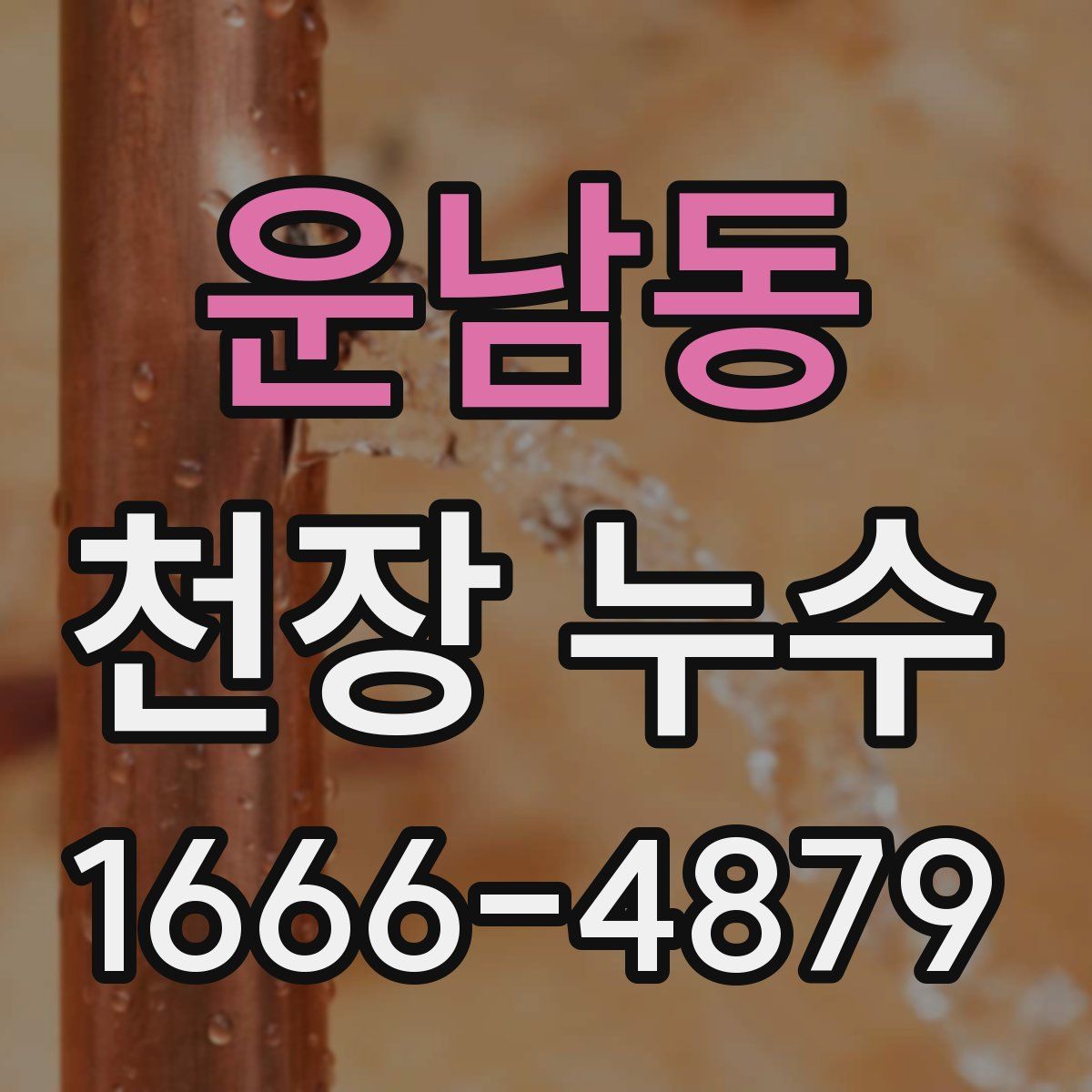 운남동 천장 누수