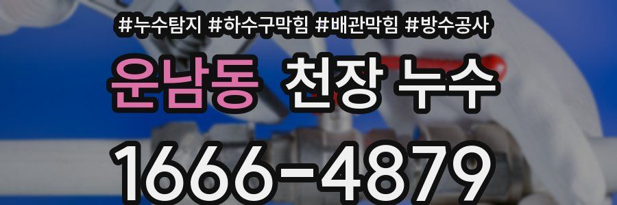 운남동 천장 누수