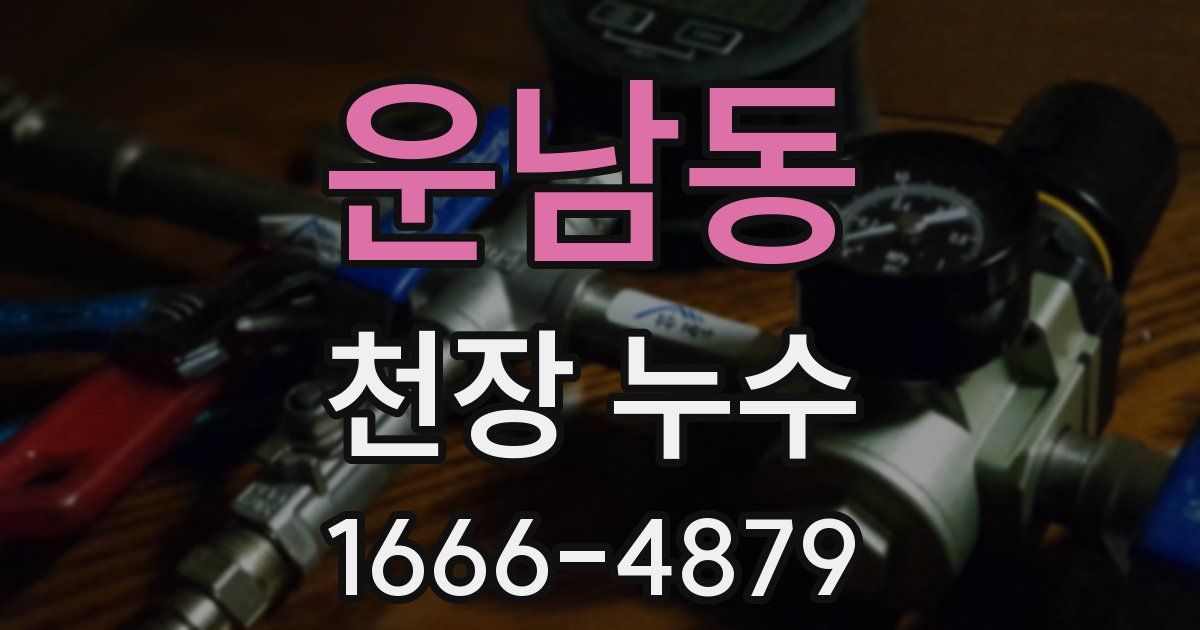 운남동 천장 누수