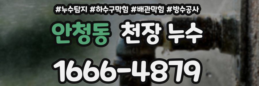 안청동 천장 누수