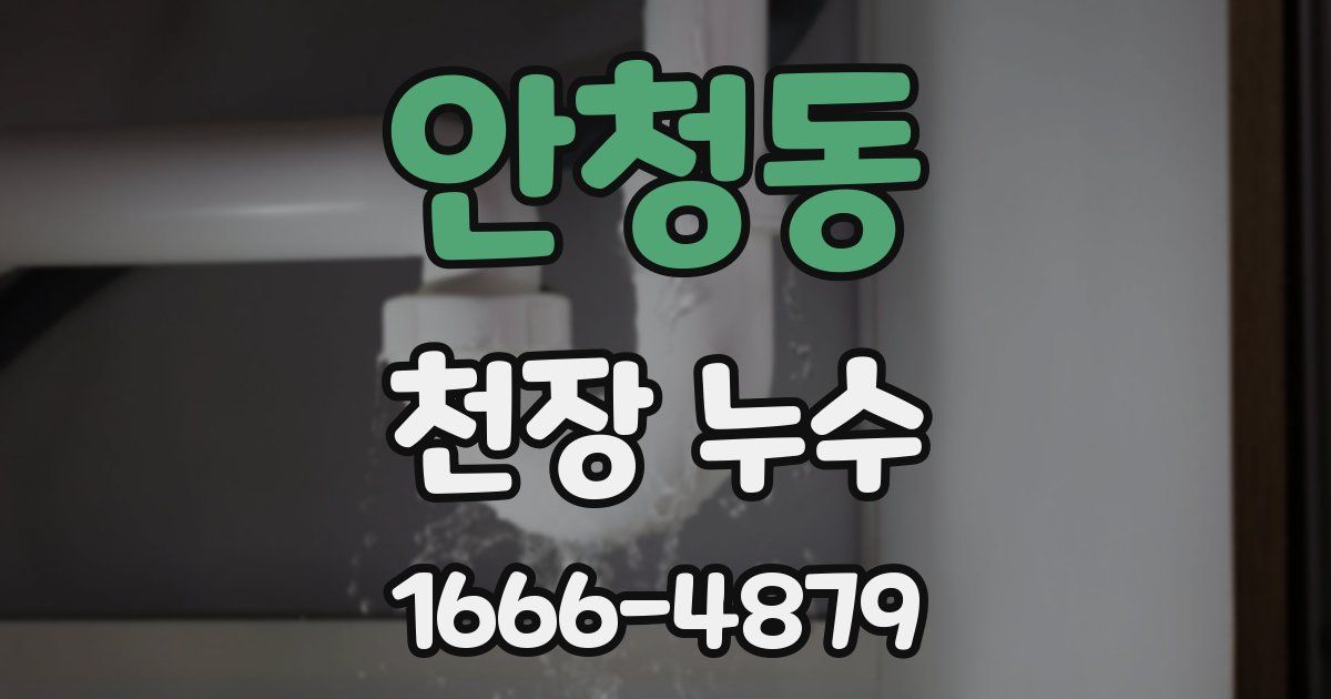 안청동 천장 누수