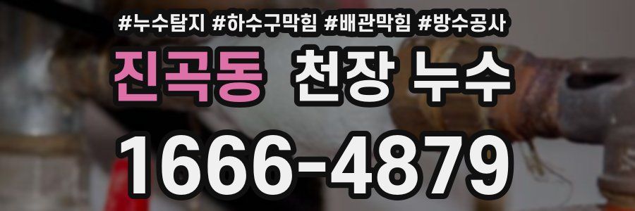 진곡동 천장 누수