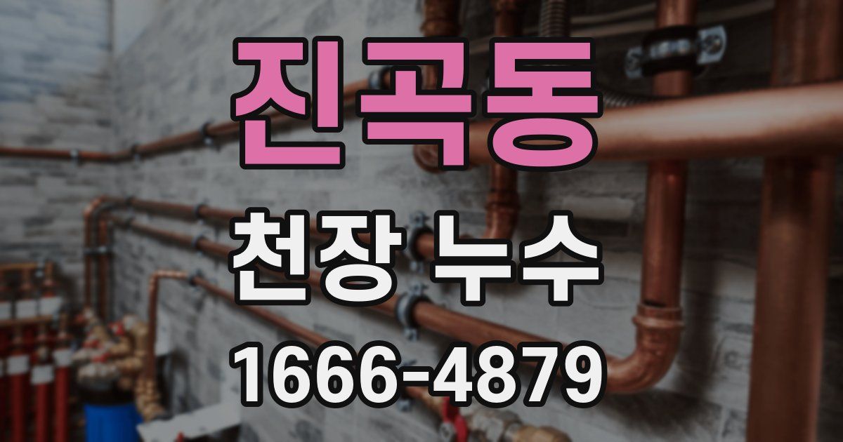진곡동 천장 누수