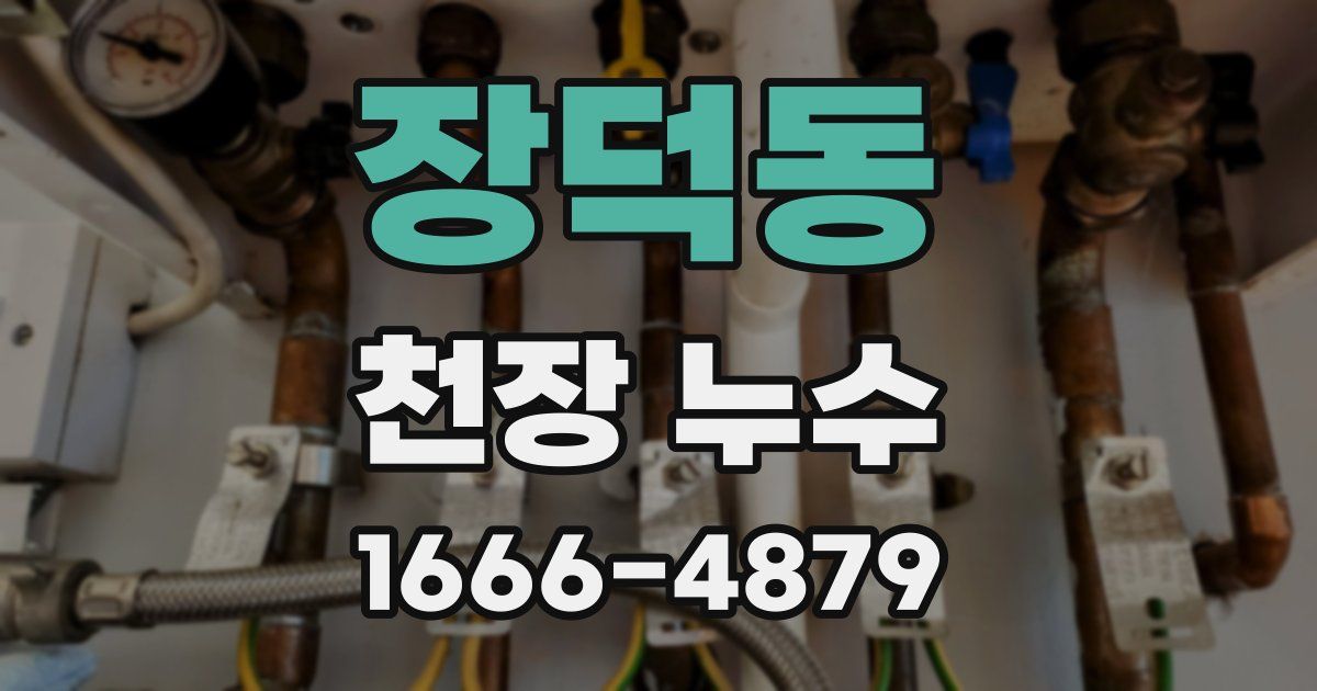 장덕동 천장 누수