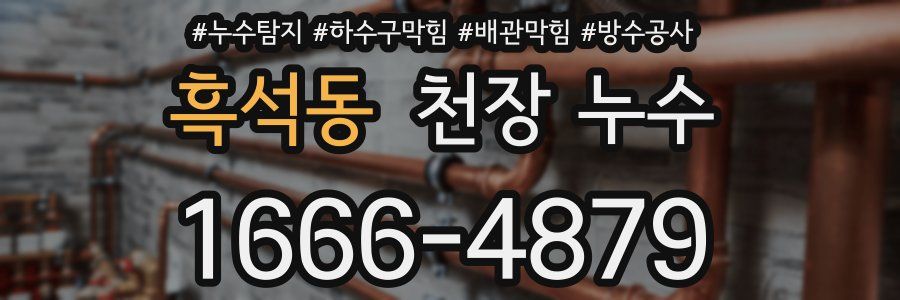 흑석동 천장 누수