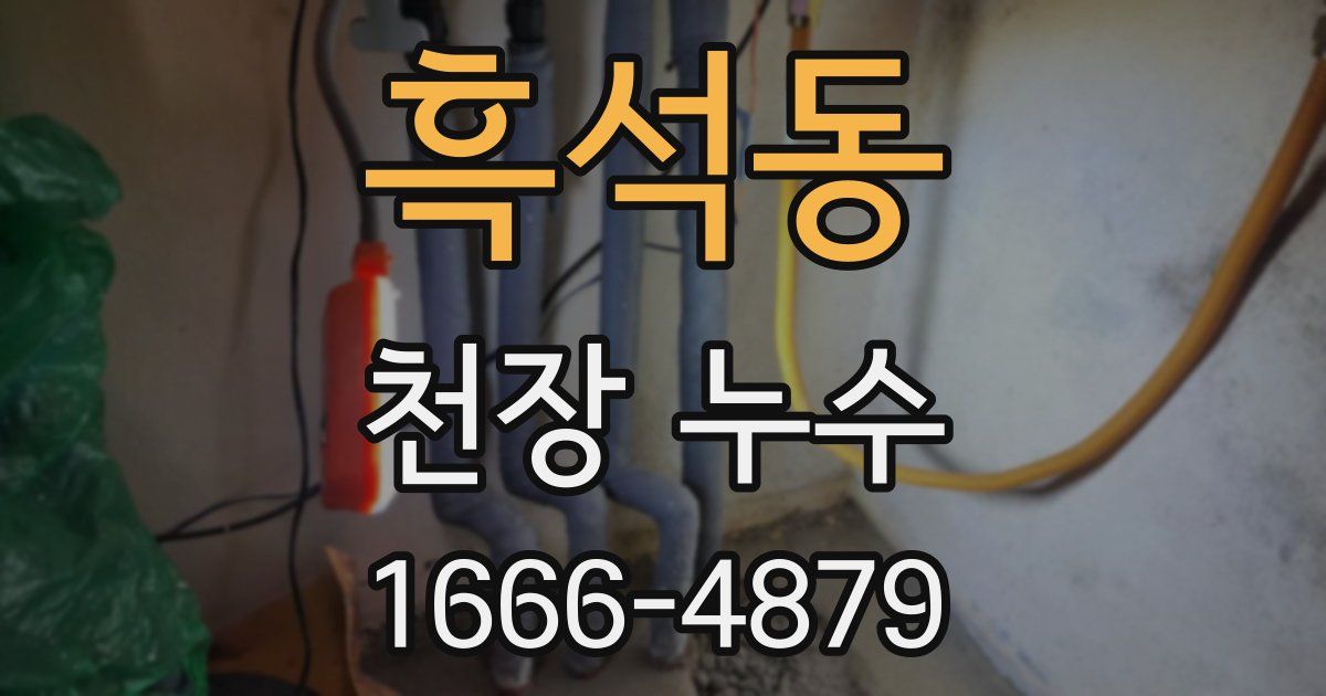 흑석동 천장 누수