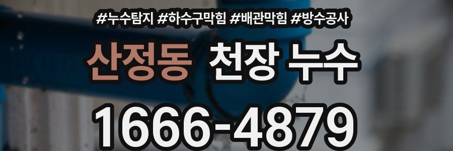산정동 천장 누수