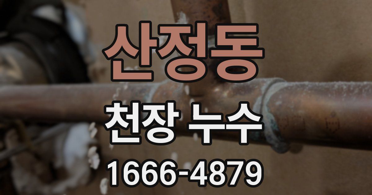 산정동 천장 누수