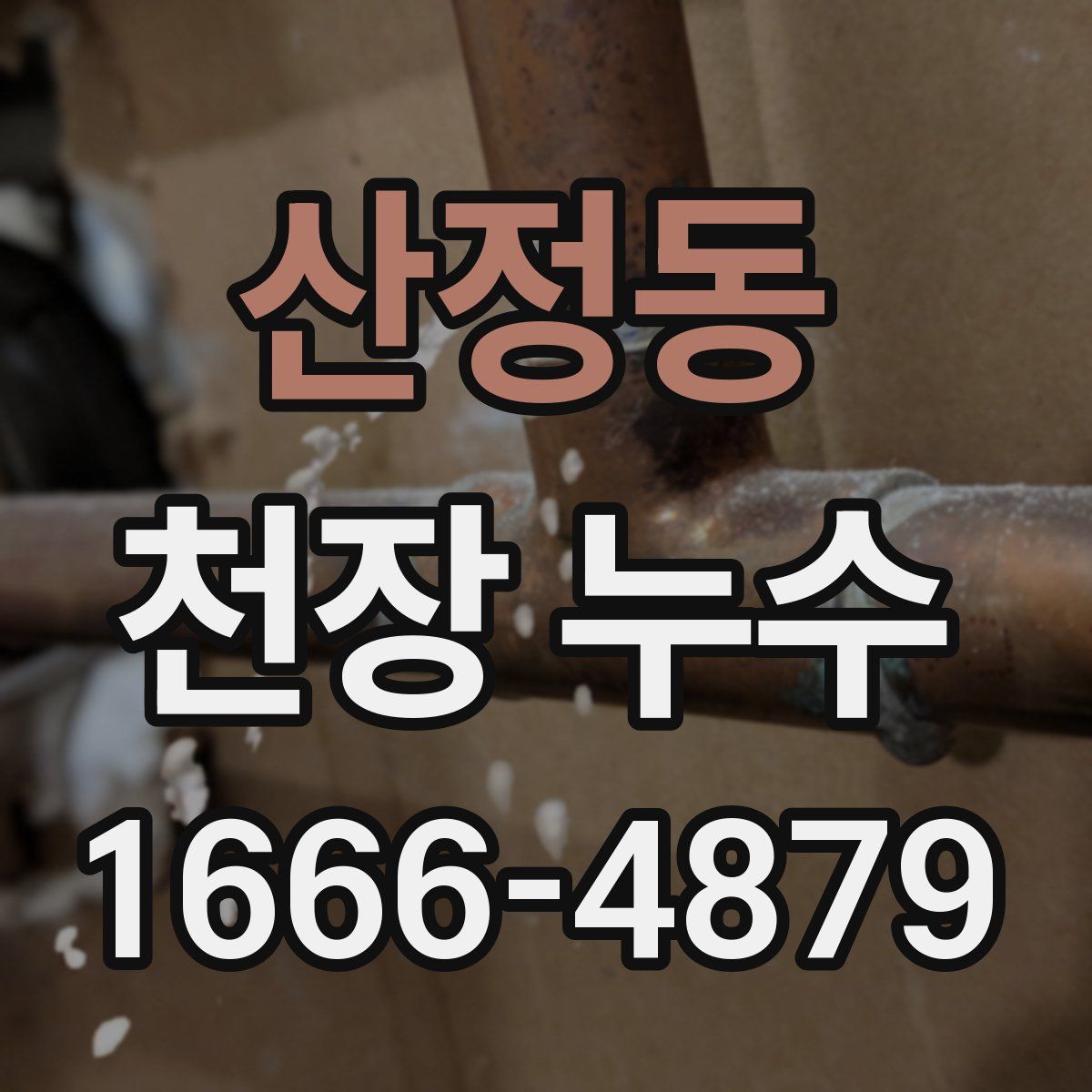 산정동 천장 누수