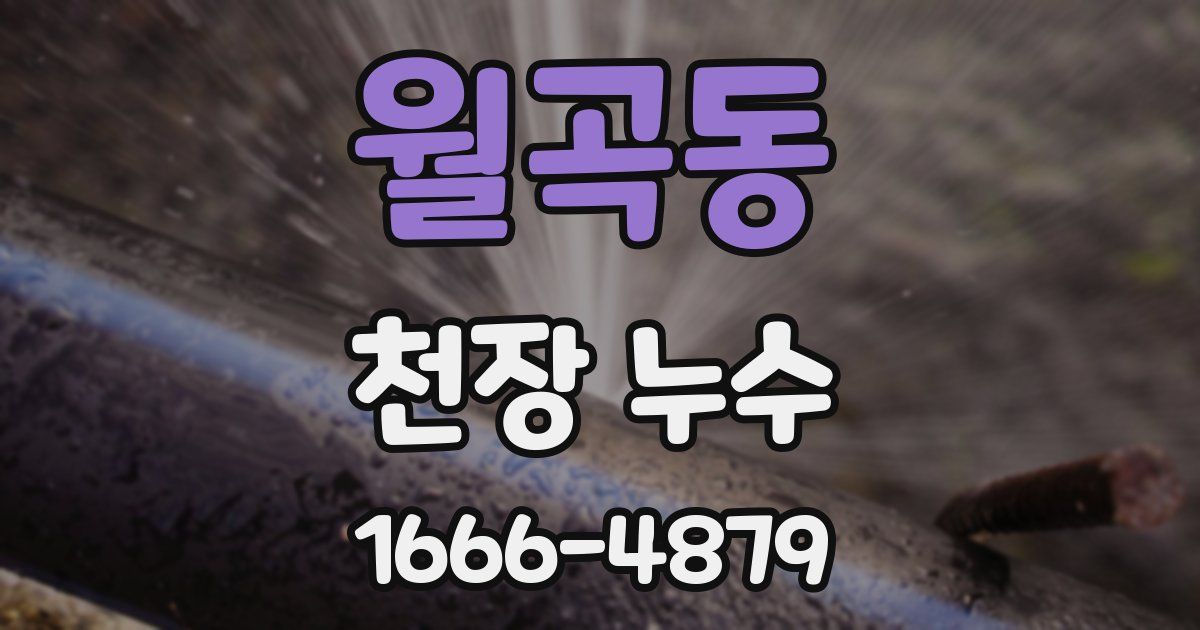 월곡동 천장 누수