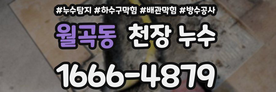 월곡동 천장 누수