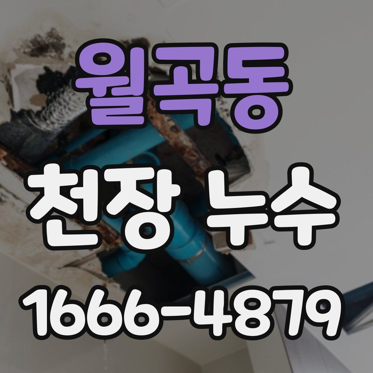 월곡동 천장 누수