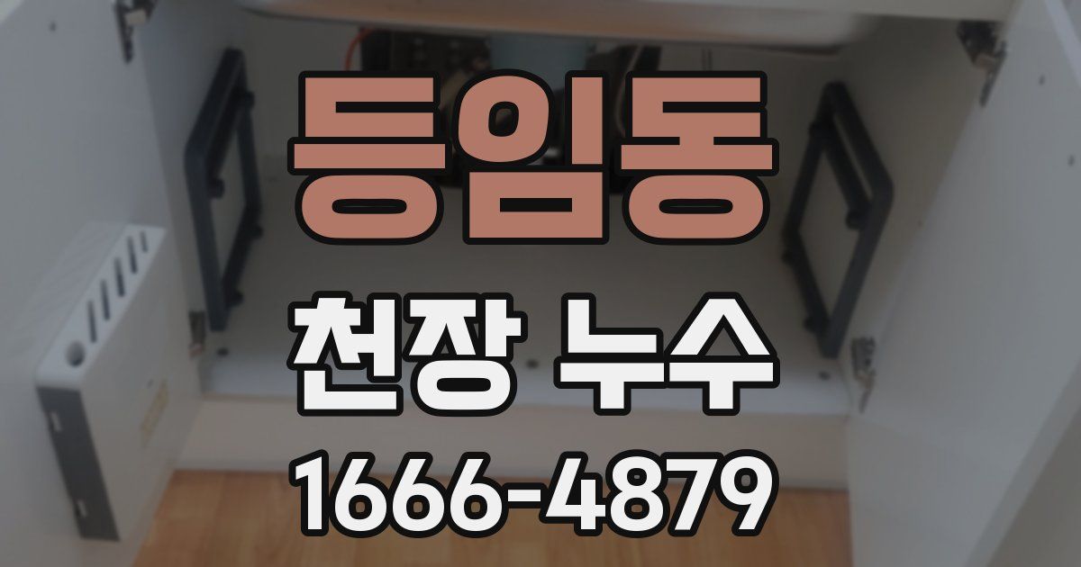 등임동 천장 누수