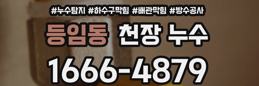 등임동 천장 누수