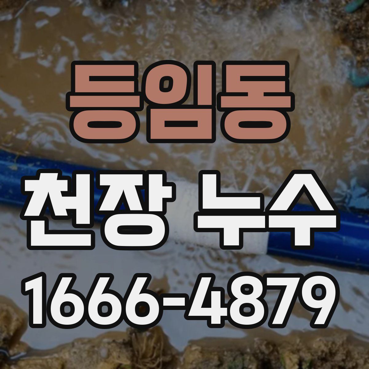 등임동 천장 누수