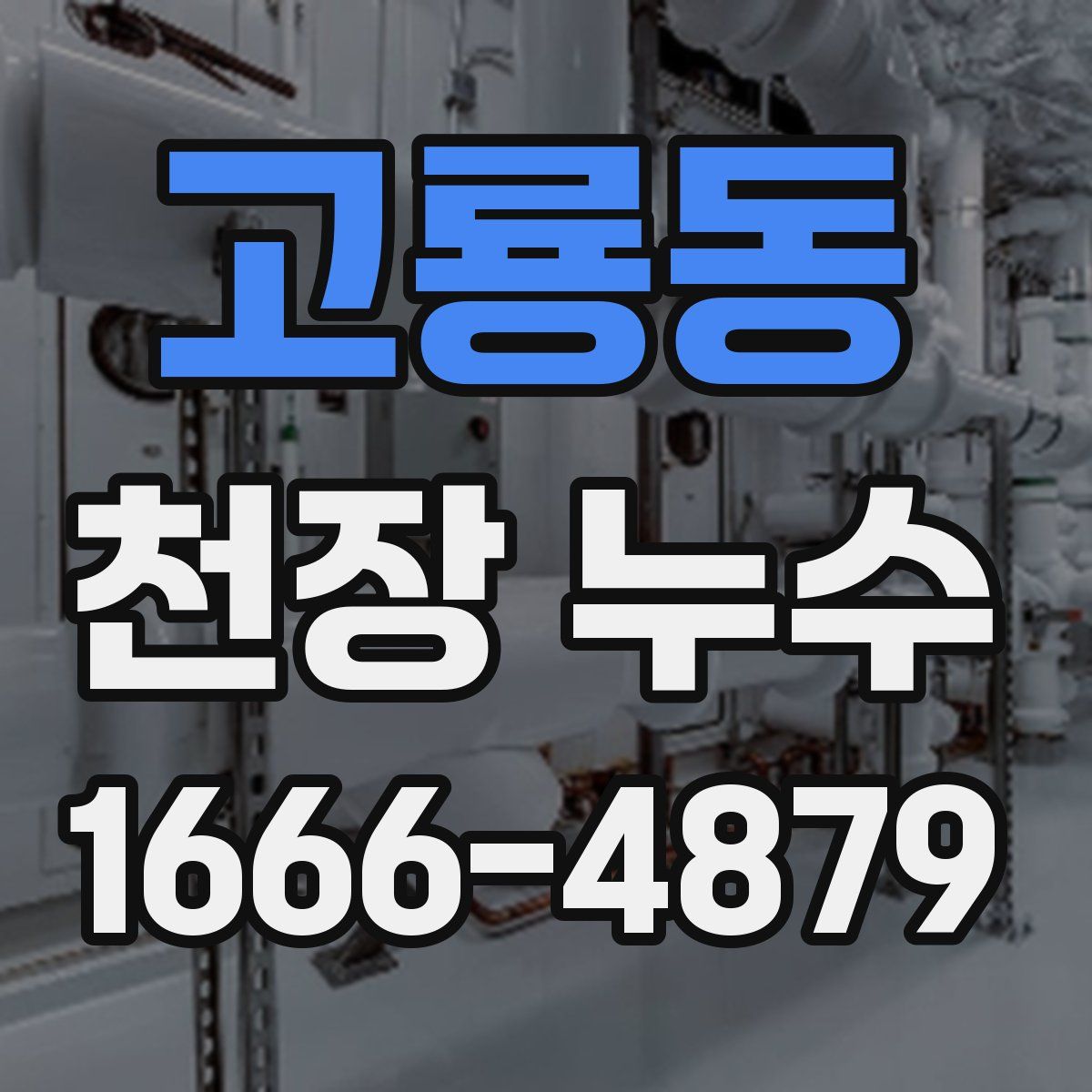 고룡동 천장 누수