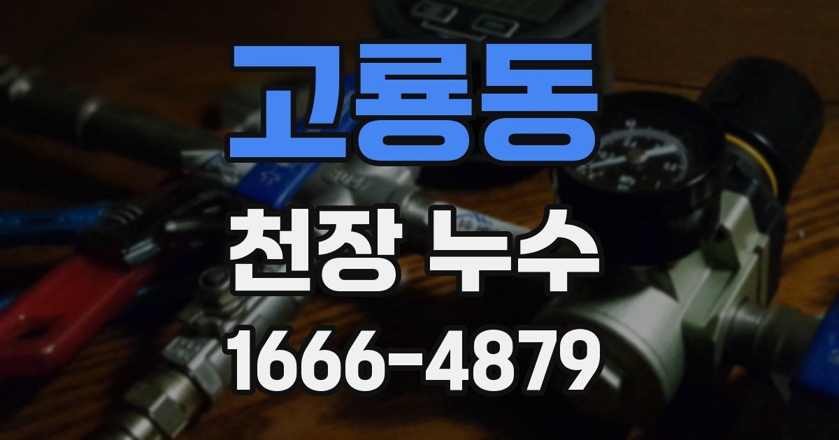 고룡동 천장 누수