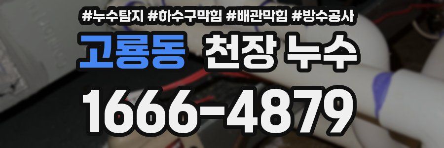 고룡동 천장 누수
