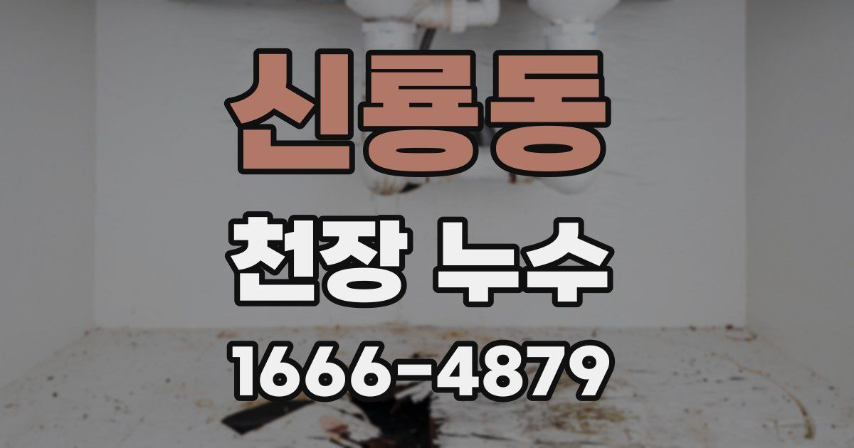 신룡동 천장 누수