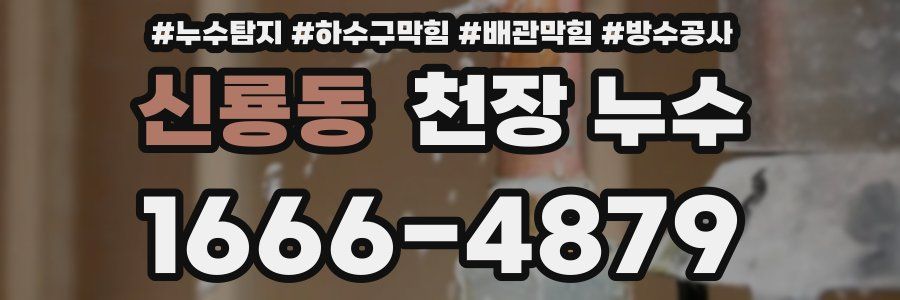 신룡동 천장 누수
