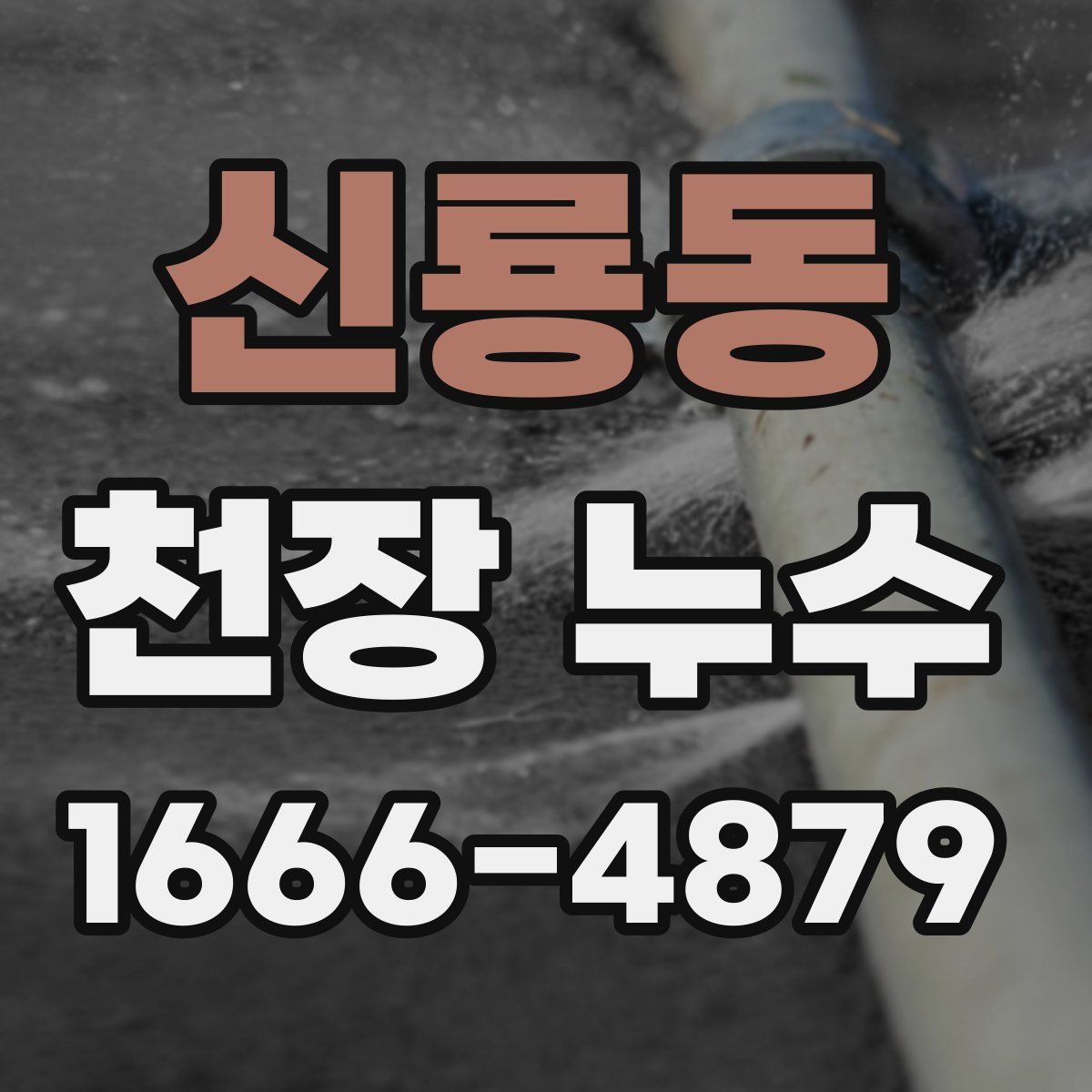 신룡동 천장 누수