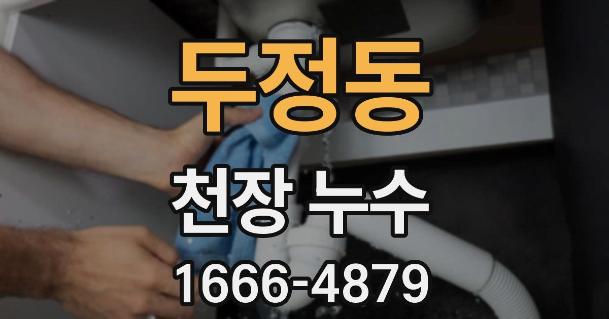 두정동 천장 누수
