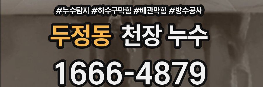 두정동 천장 누수