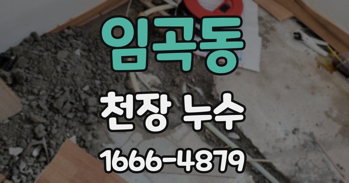 임곡동 천장 누수