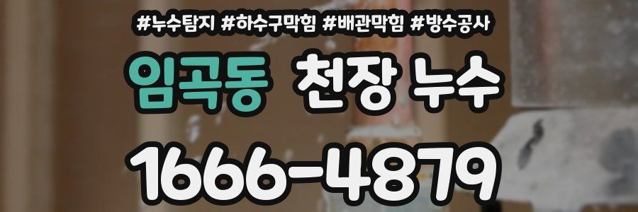 임곡동 천장 누수