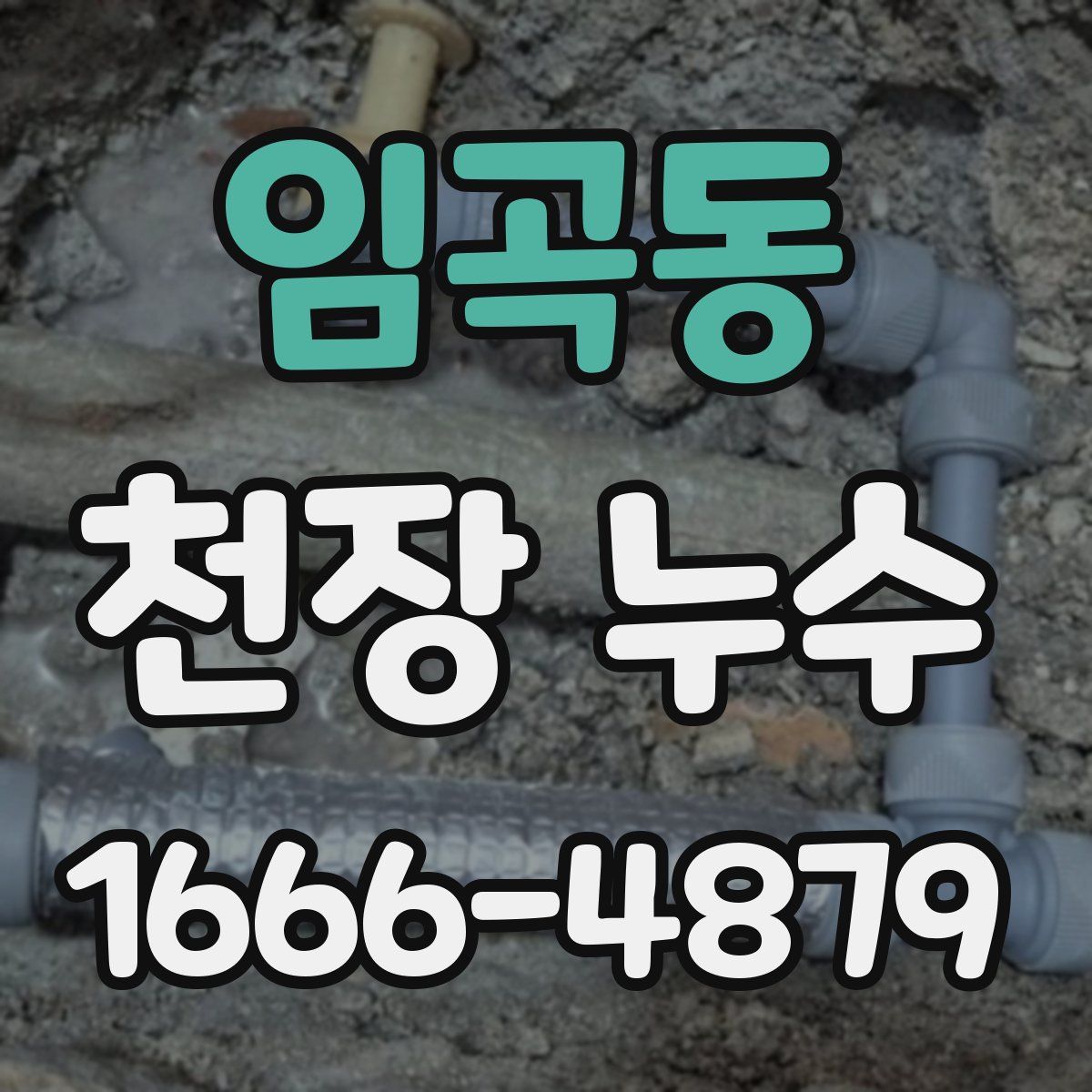 임곡동 천장 누수