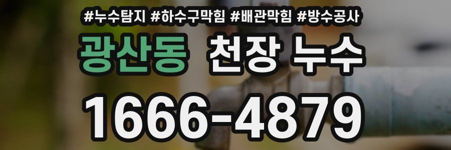 광산동 천장 누수