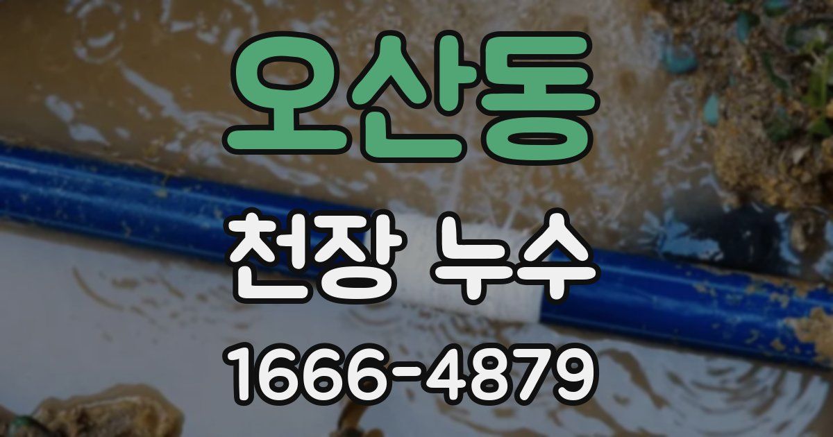 오산동 천장 누수