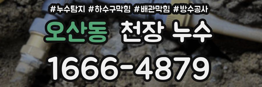 오산동 천장 누수