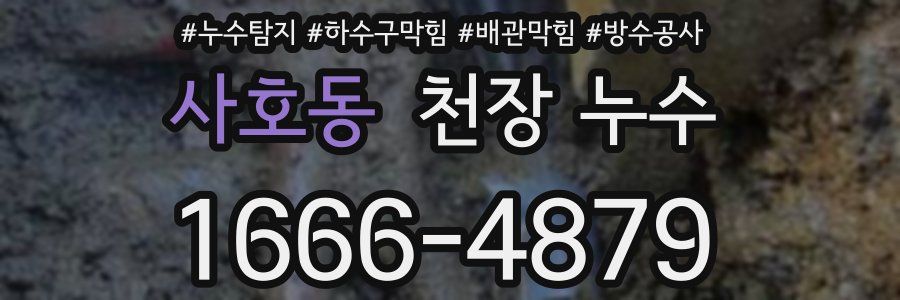 사호동 천장 누수