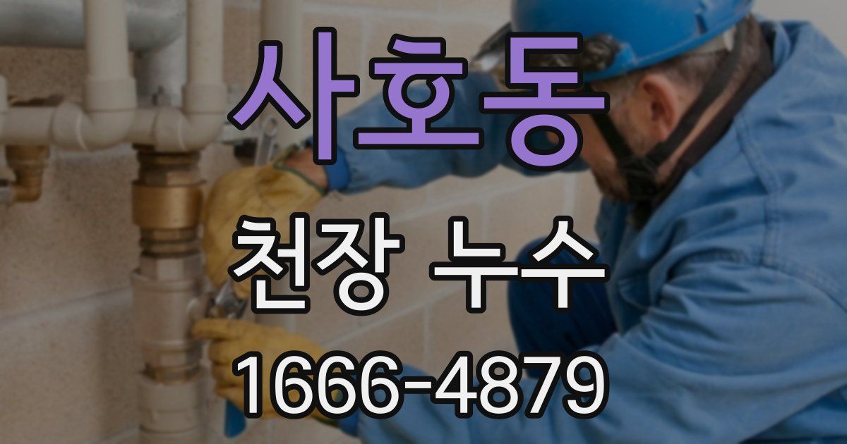 사호동 천장 누수