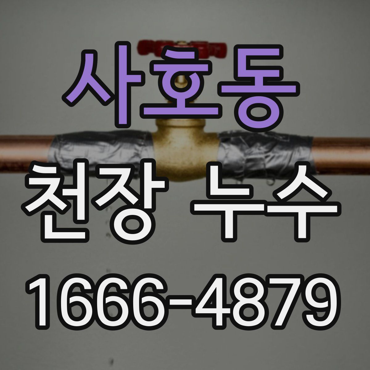 사호동 천장 누수