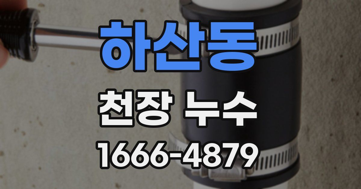 하산동 천장 누수