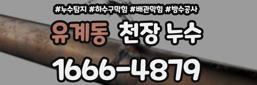 유계동 천장 누수