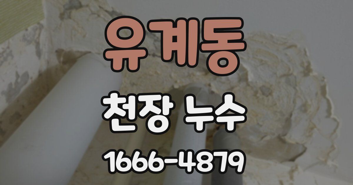 유계동 천장 누수