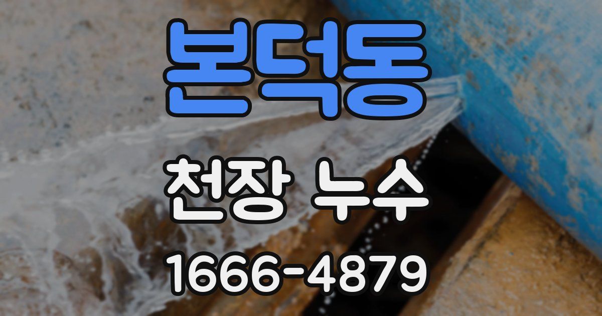 본덕동 천장 누수