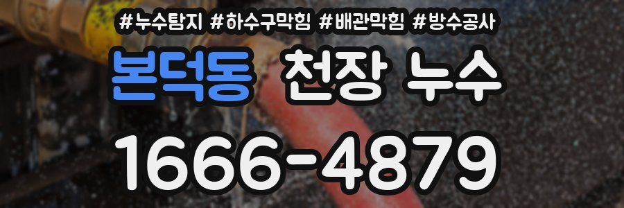 본덕동 천장 누수
