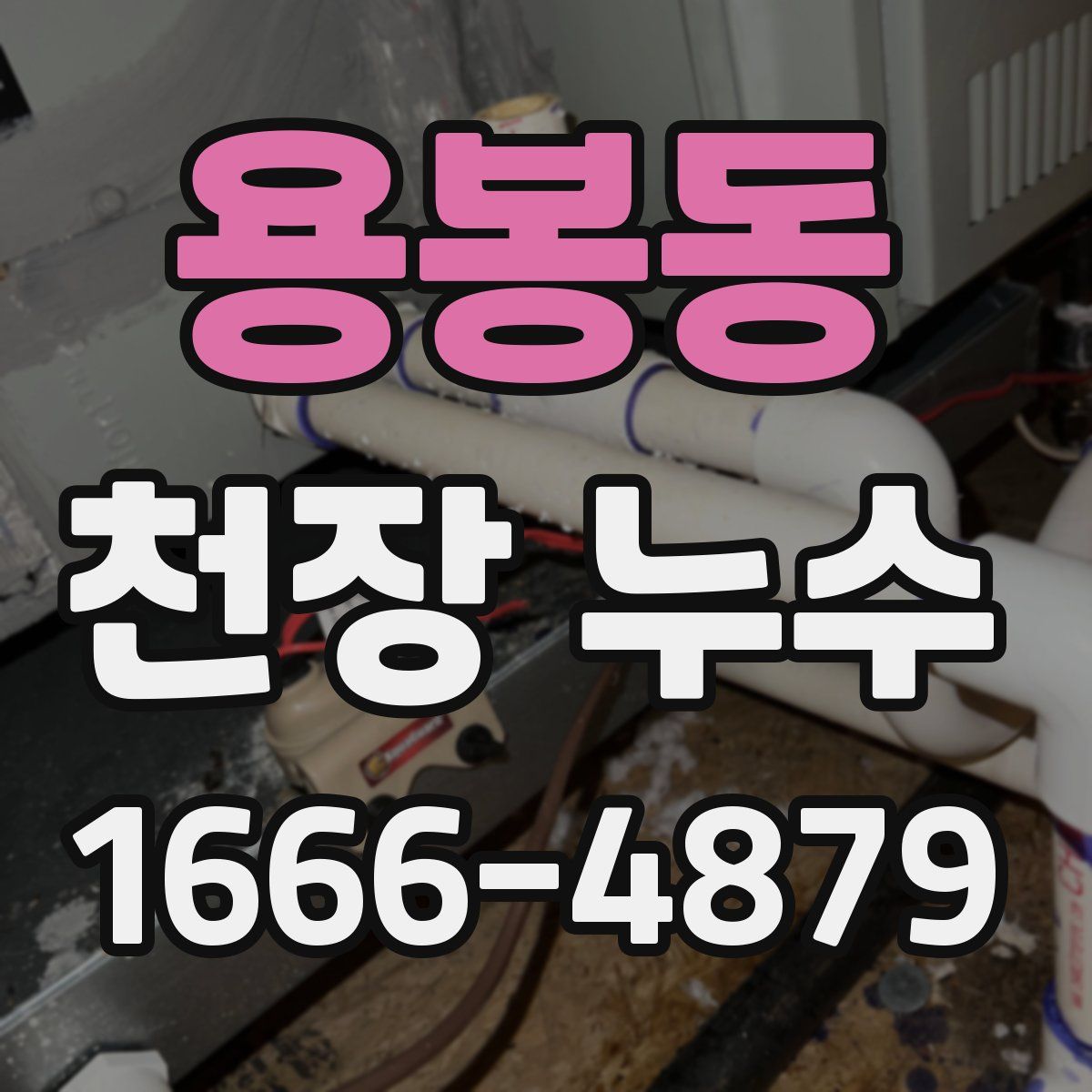 용봉동 천장 누수